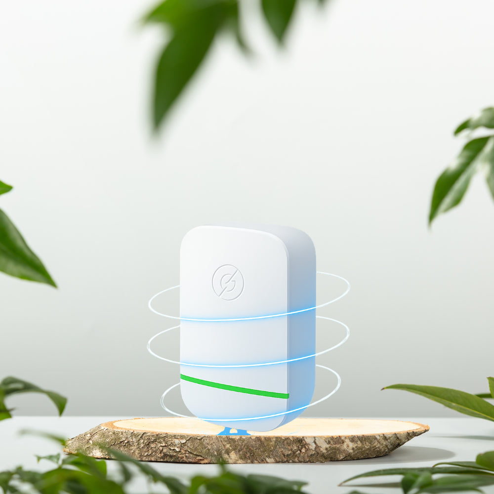 Ecovolt