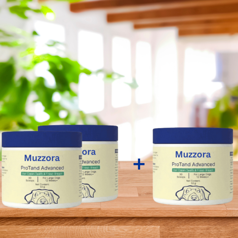 Muzzora