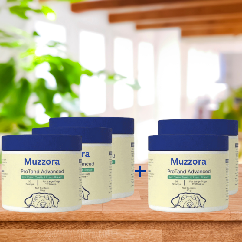 Muzzora