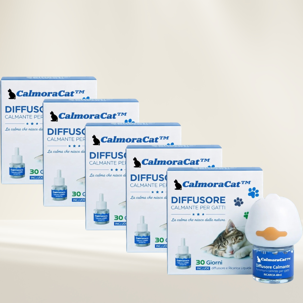 CalmoraCat