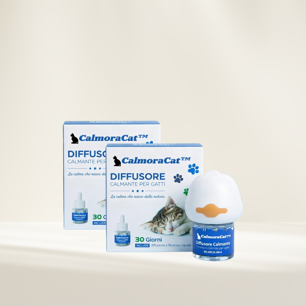 CalmoraCat