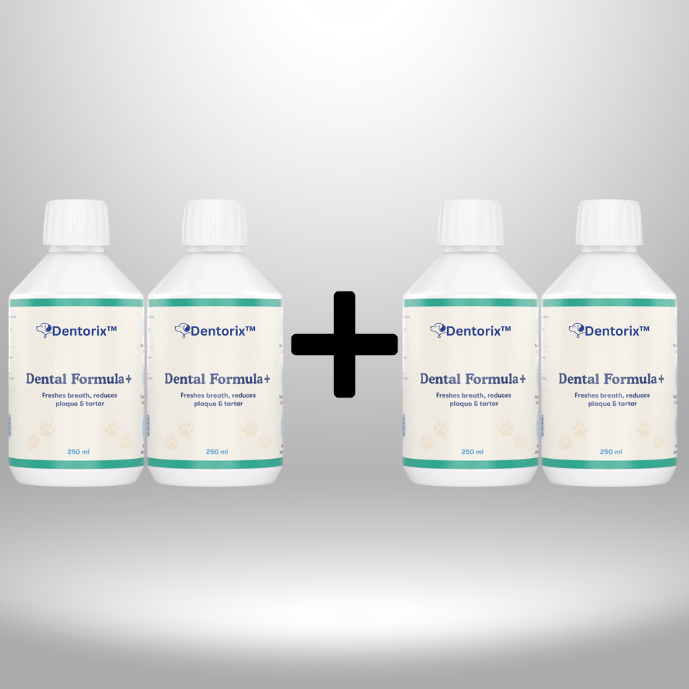 Dentorix