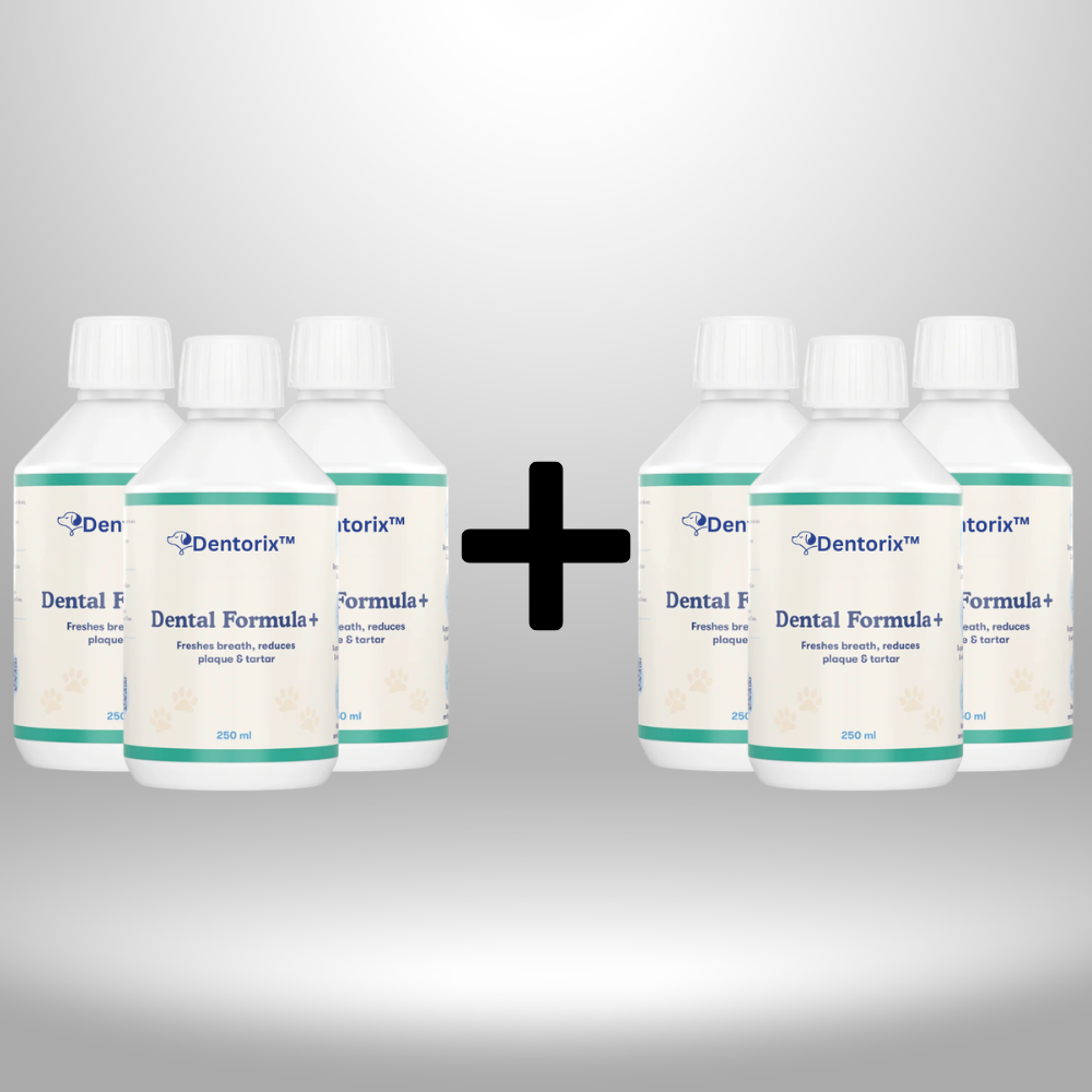 Dentorix